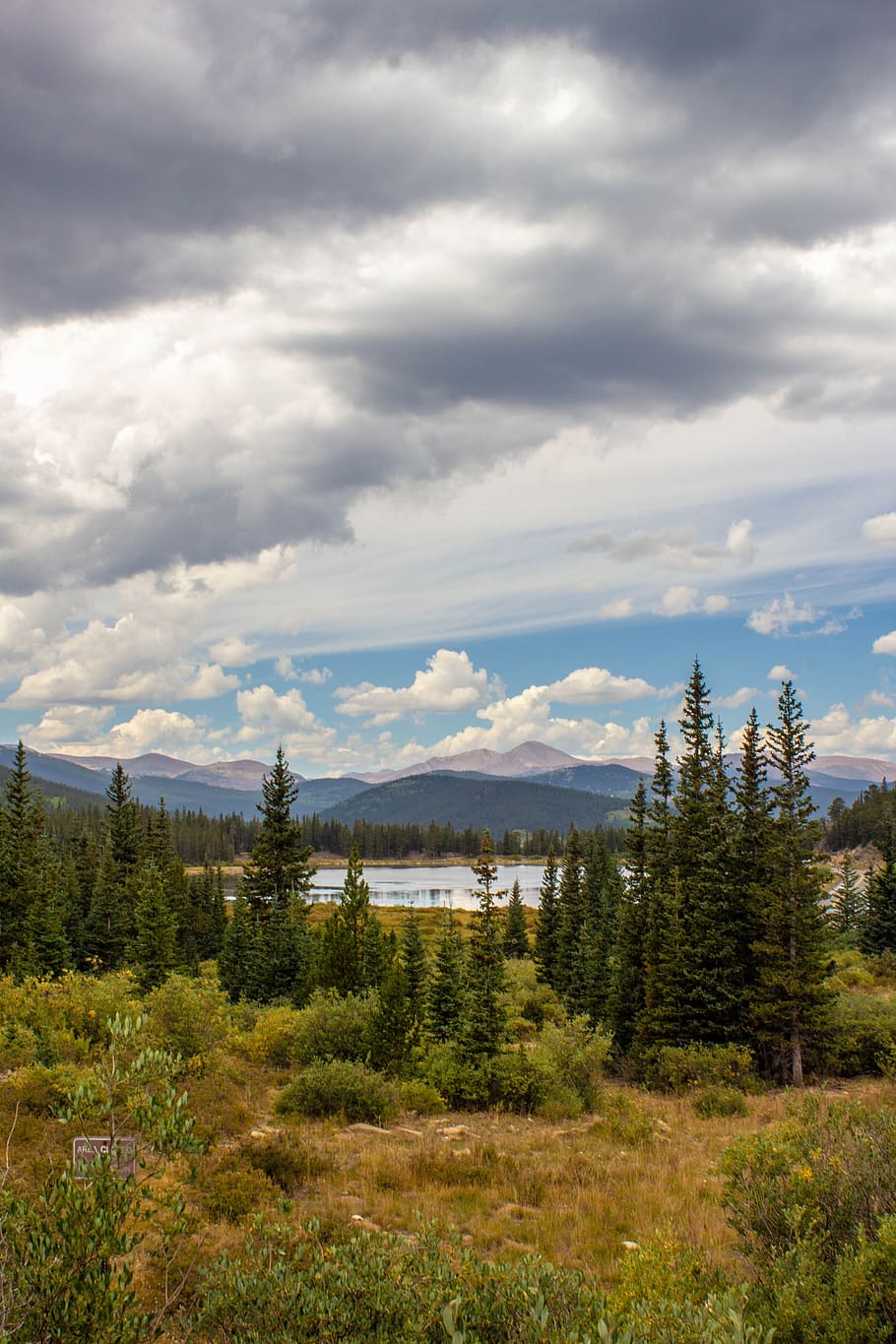 clouds, trees, forest, lake, summer, park, green, blue, shrub HD wallpaper