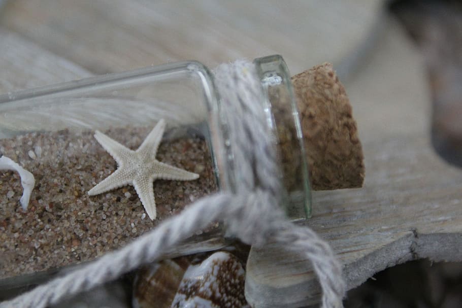 Starfish, Bottle, Sand, close-up, no people, indoors, day, shape HD wallpaper