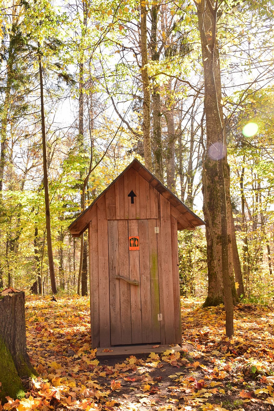 bathroom, toilet, wc, restroom, outdoor, forest, autumn, fall