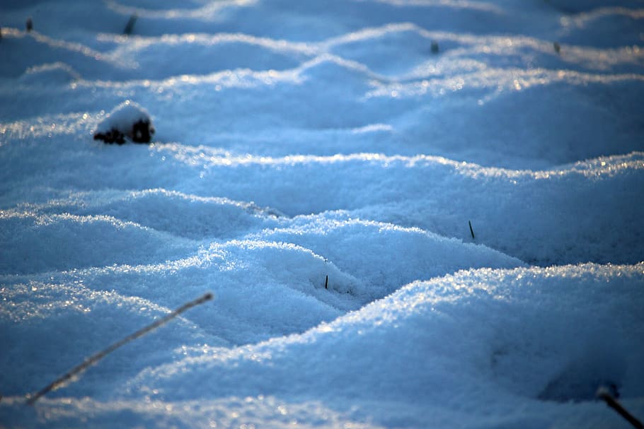 Snow, Winter, Ice, Wintry, Cold, Snowy, white, nature, cold temperature HD wallpaper