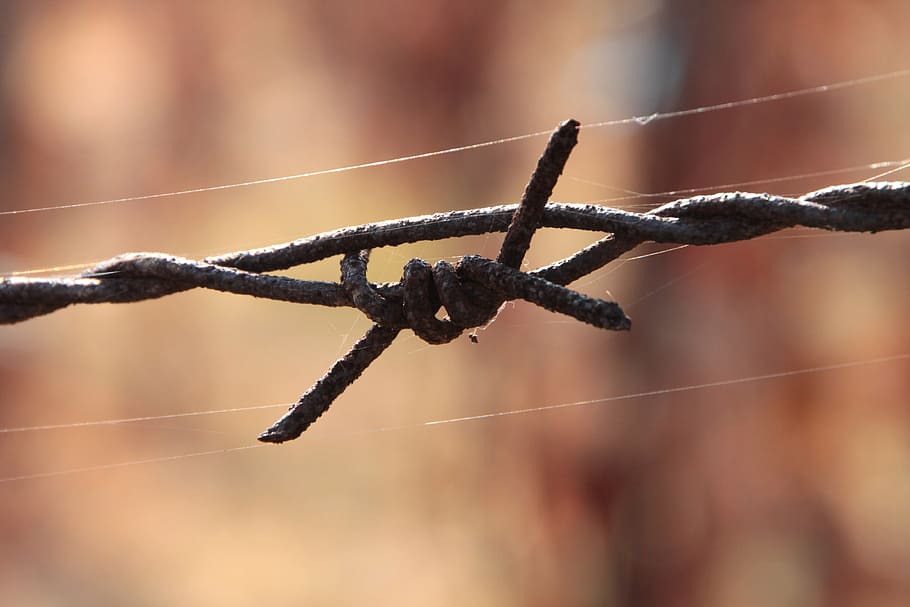 barbed, close-up, iron, old, rusty, wire, industries, objects HD wallpaper