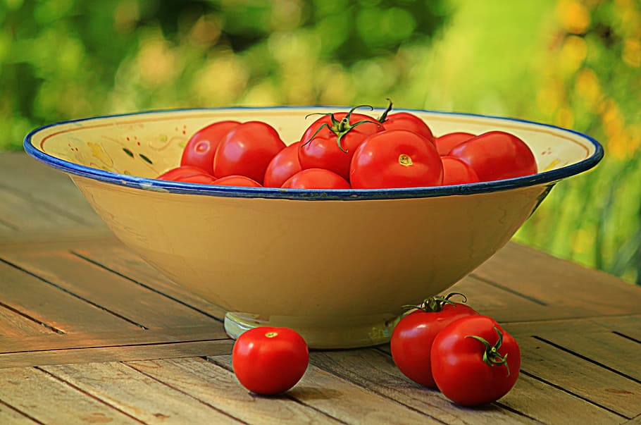 cherry tomatoes during daytime, fruit, vegetables, food, delicious HD wallpaper