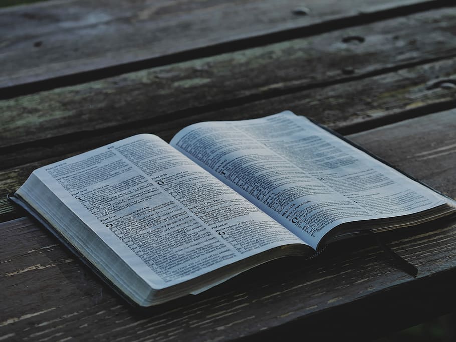 opened white book on brown wooden boards, open book on brown wooden surface HD wallpaper