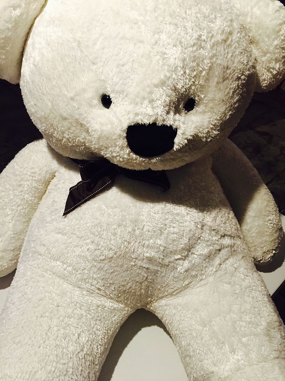 Brown Teddy Bear, stuffed toy, White bear, representation, close-up HD wallpaper