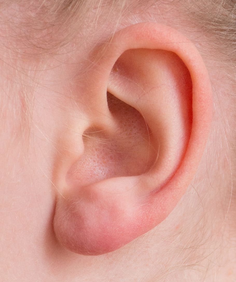 left human ear, Auricle, listen, hearing, sensory organ, perception, HD wallpaper