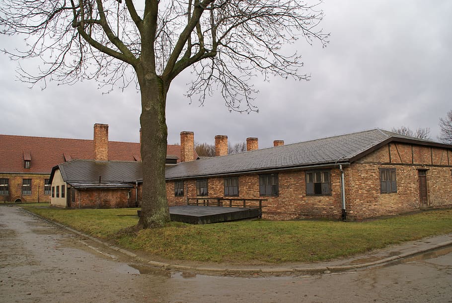 auschwitz, concentration camp, second world war, auschwitz-birkenau