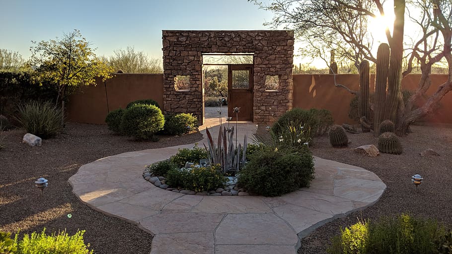 arizona, cactus, southwest, usa, landscape, desert, sunset, HD wallpaper