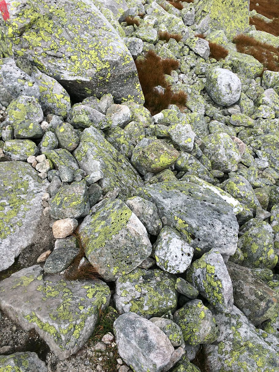 grey, nature, rock, solid, rock - object, no people, day, textured HD wallpaper