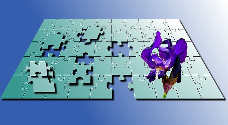 puzzle, blue, iris, color, plant, wallpaper, teasers, geometry HD wallpaper
