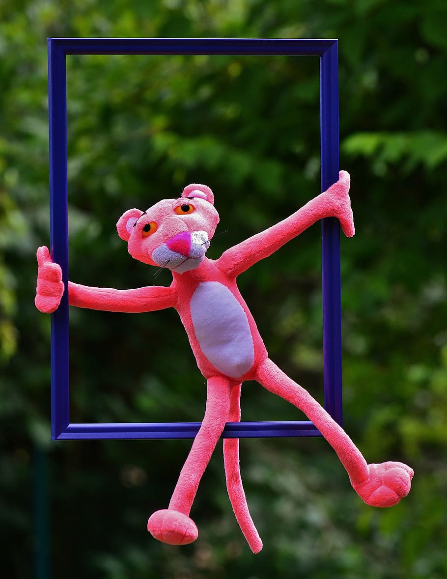 HD wallpaper: out of the ordinary, the pink panther, funny, anders, unusual  | Wallpaper Flare