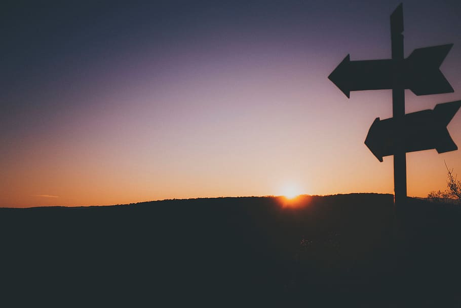 sunset, night, arrow, directions, grass, trees, sky, silhouette HD wallpaper