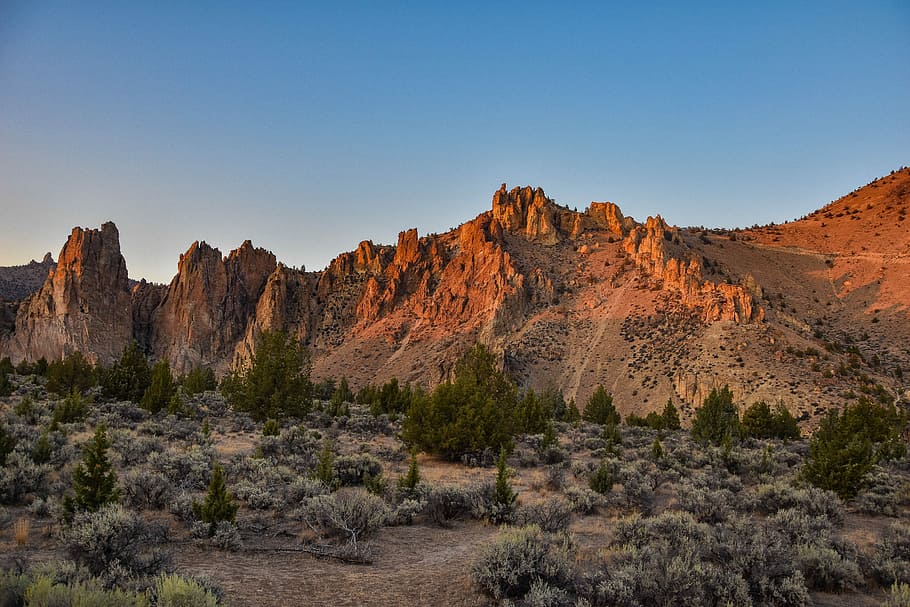 brown rock mountain, valley and mountains, desert, tree, stone HD wallpaper