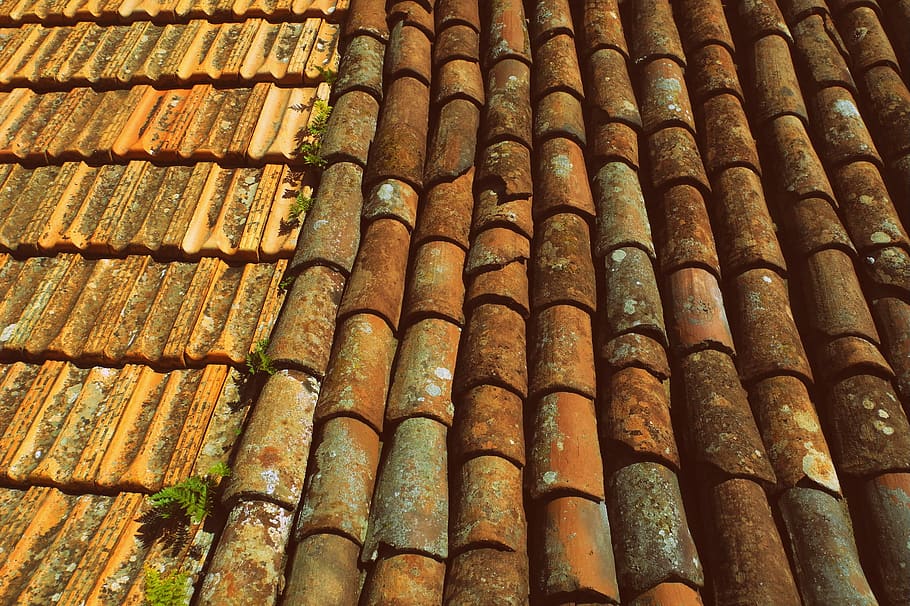 tiles-roof-slate-clay-terracotta-roofing.jpg