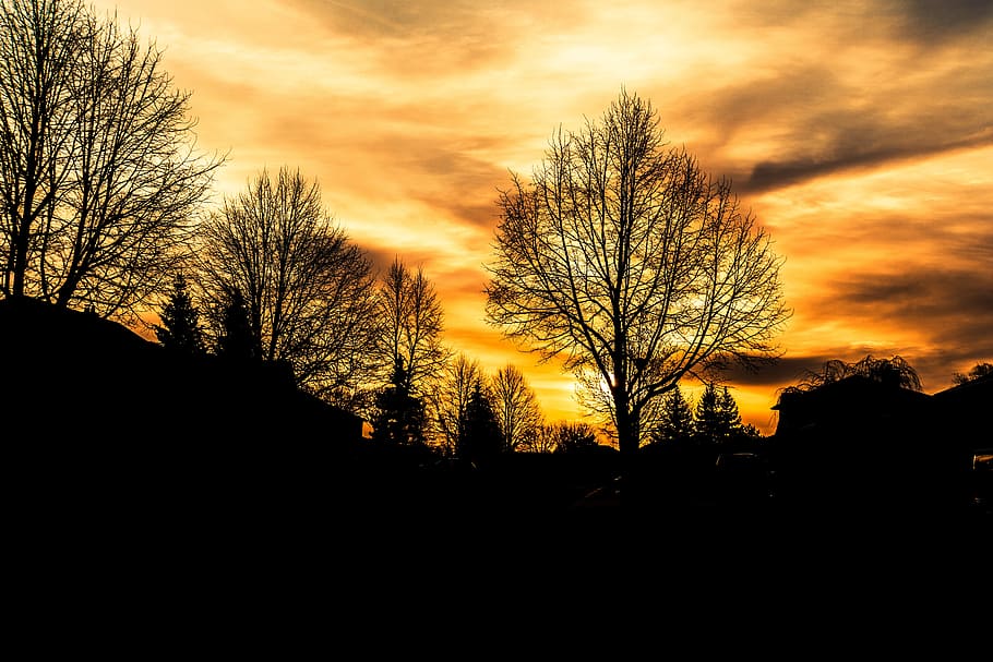 sunrise, hope, brightness, landscape, scenery, joy, warm, morning HD wallpaper