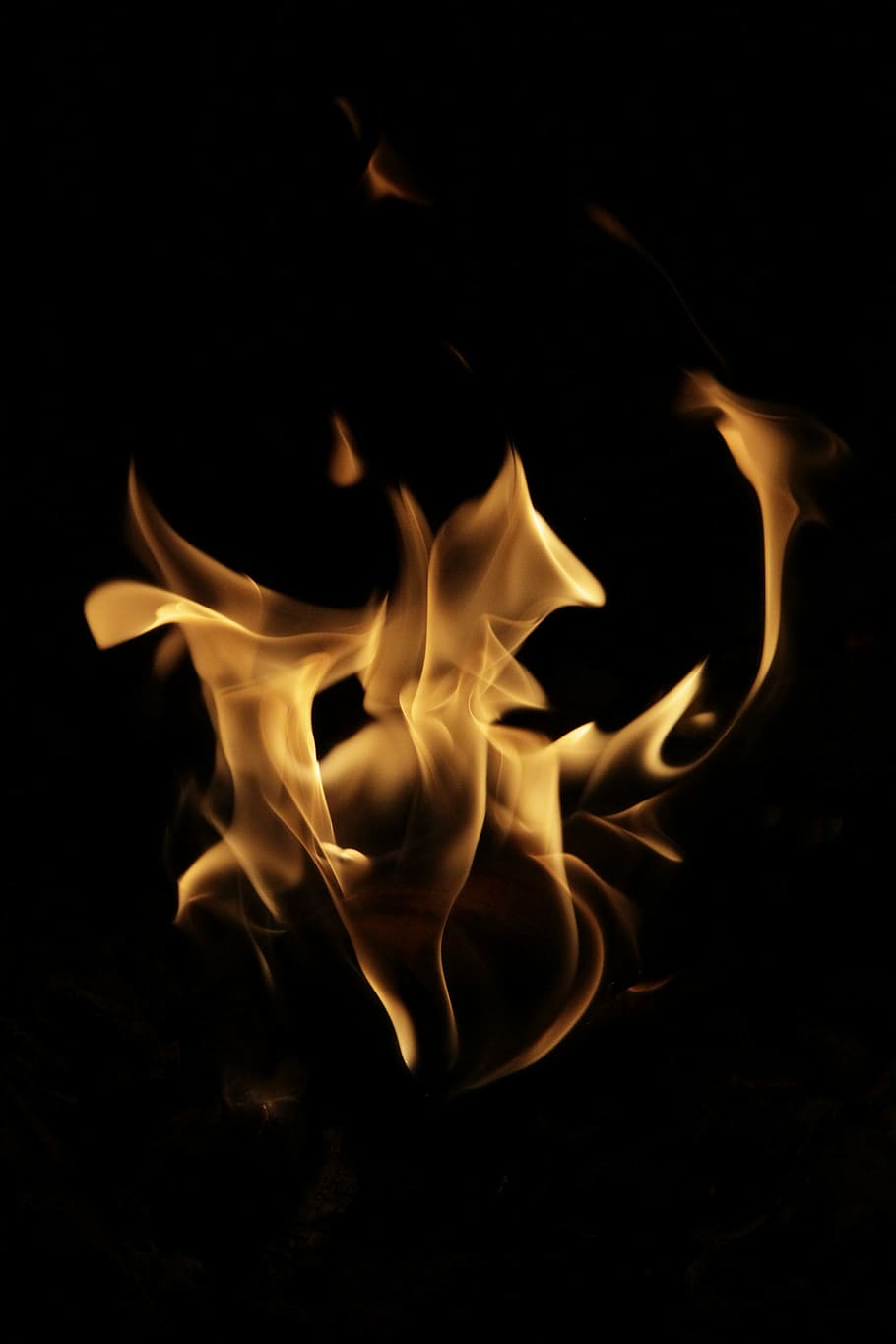 photography of flame, fire, night, light, energy, burning, nature HD wallpaper