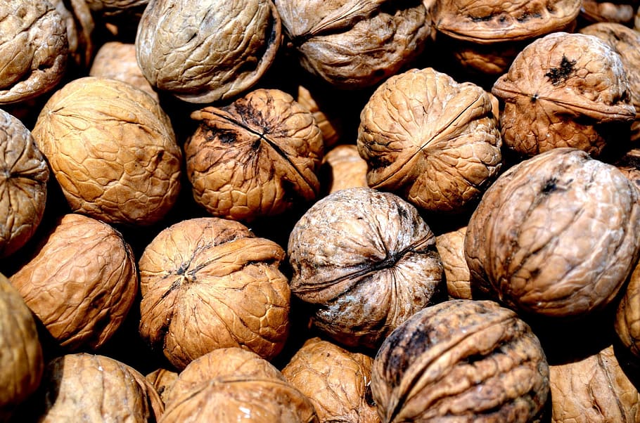 bunch of brown nuts, walnut, walnuts, food, shell, crop, business HD wallpaper