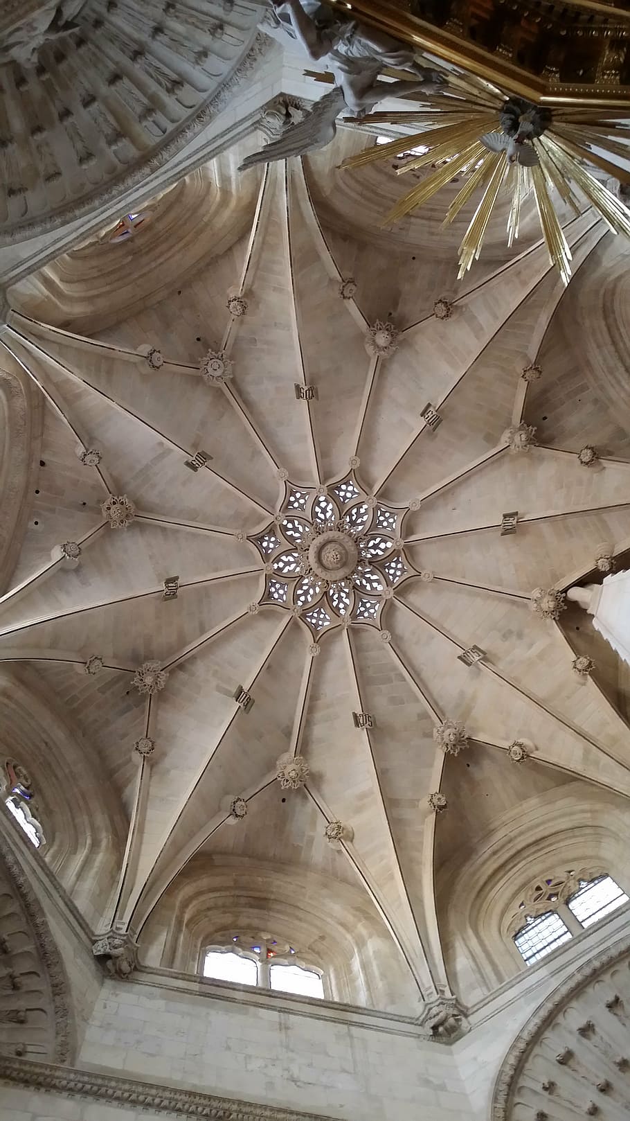 cathedral, gothic, gothic architecture, ceiling, low angle view HD wallpaper