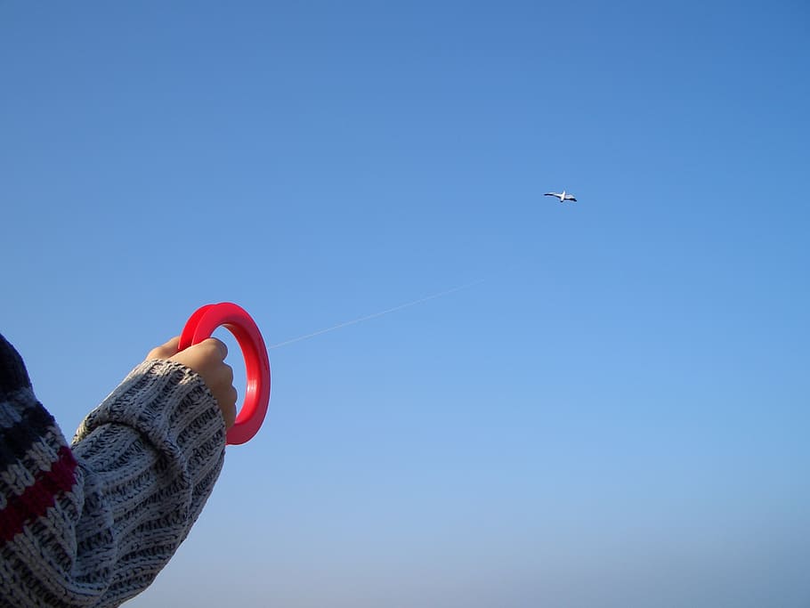 kite flying, wind, sky, play, toys, dragon rising, dragons HD wallpaper
