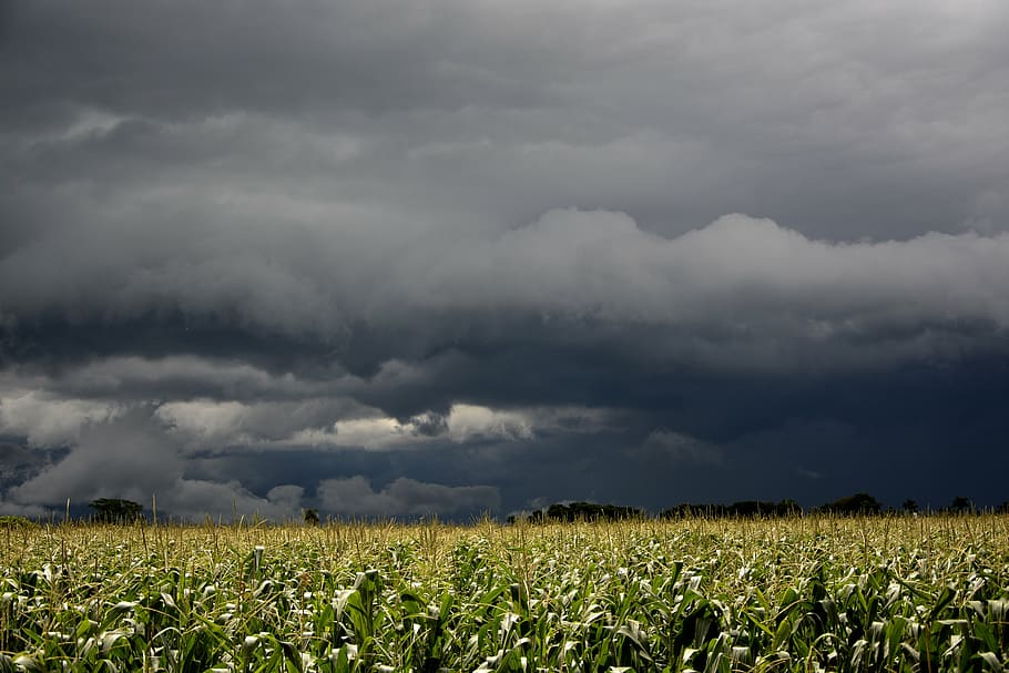 storm, rain clouds, sol, flying, sunshine, sky, beautiful, clouds in the sun HD wallpaper