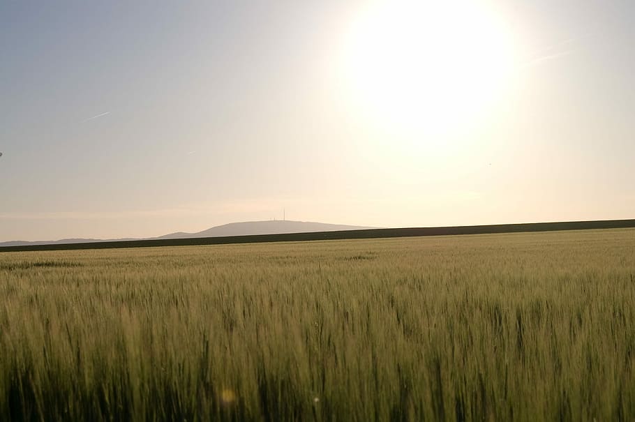 Thunder Mountain, Sunset, field, agriculture, rhineland palatinate, HD wallpaper