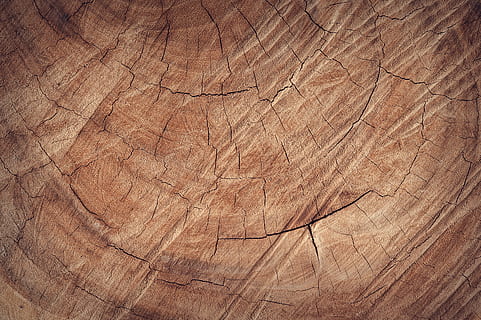 close photo of brown wall, abstract, antique, backdrop, background HD wallpaper