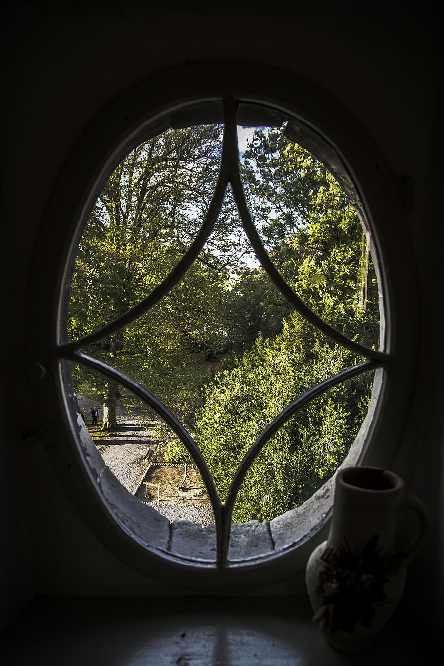 bull's-eye, castle, window, plant, tree, day, nature, glass - material HD wallpaper