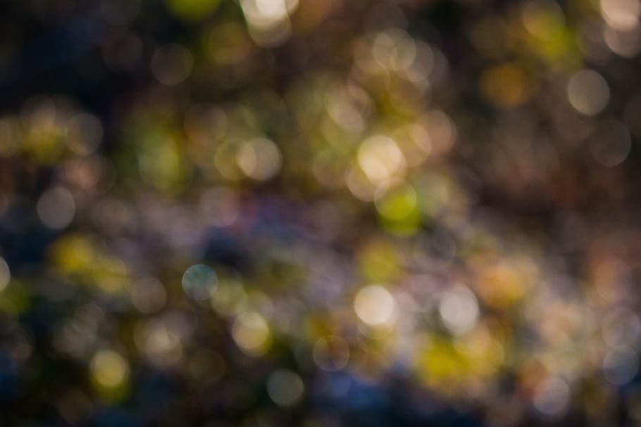 bokeh, background, circle, light, texture, circles of light HD wallpaper