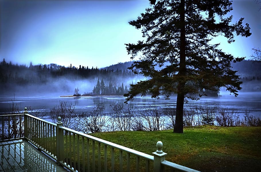 landscape, lake, nature, trees, rain, québec, canada, plant HD wallpaper