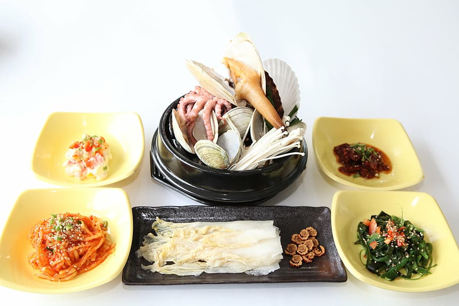 panope japonica, geoduck, koreafood, seafood, gourmet, meal, HD wallpaper