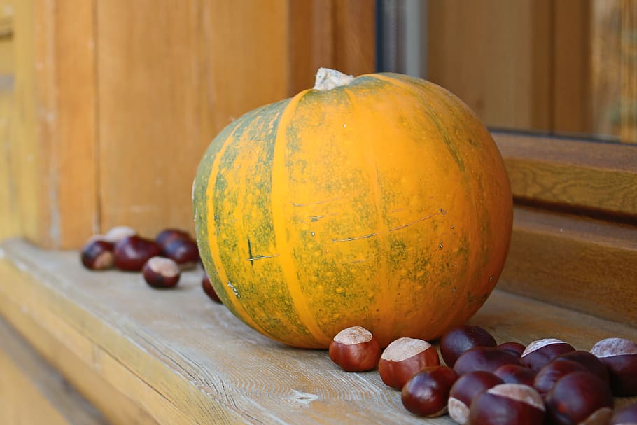 pumpkin, chestnuts, food, food and drink, healthy eating, wellbeing HD wallpaper