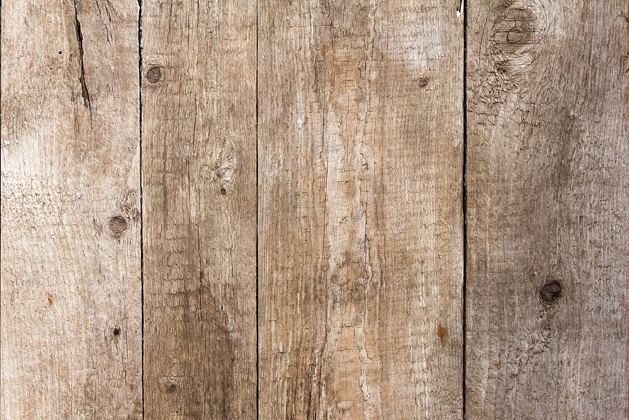 texture, tree, wood, fence, wall, old, closeup, boards, large texture HD wallpaper