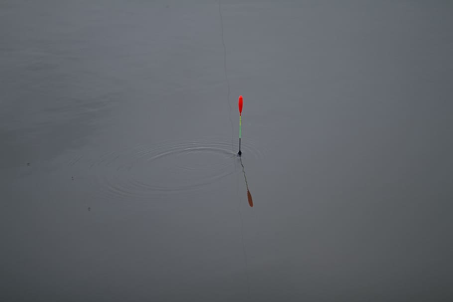fishing, water, vacation, red, waterfront, no people, nature HD wallpaper