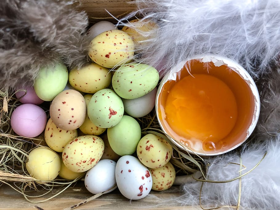 happy easter, easter eggs, lay eggs, chocolate egg, chocolate eggs HD wallpaper