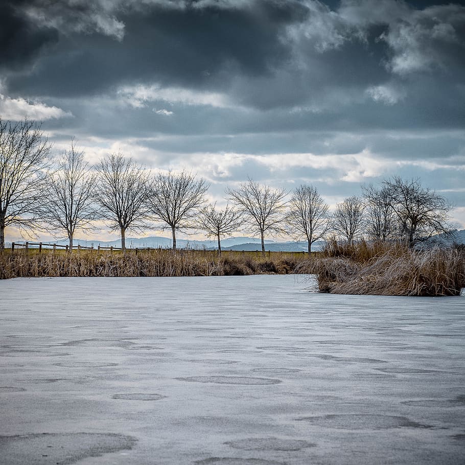 winter, snow, tree, cold, landscape, gel, pond frozen, cloud - sky HD wallpaper