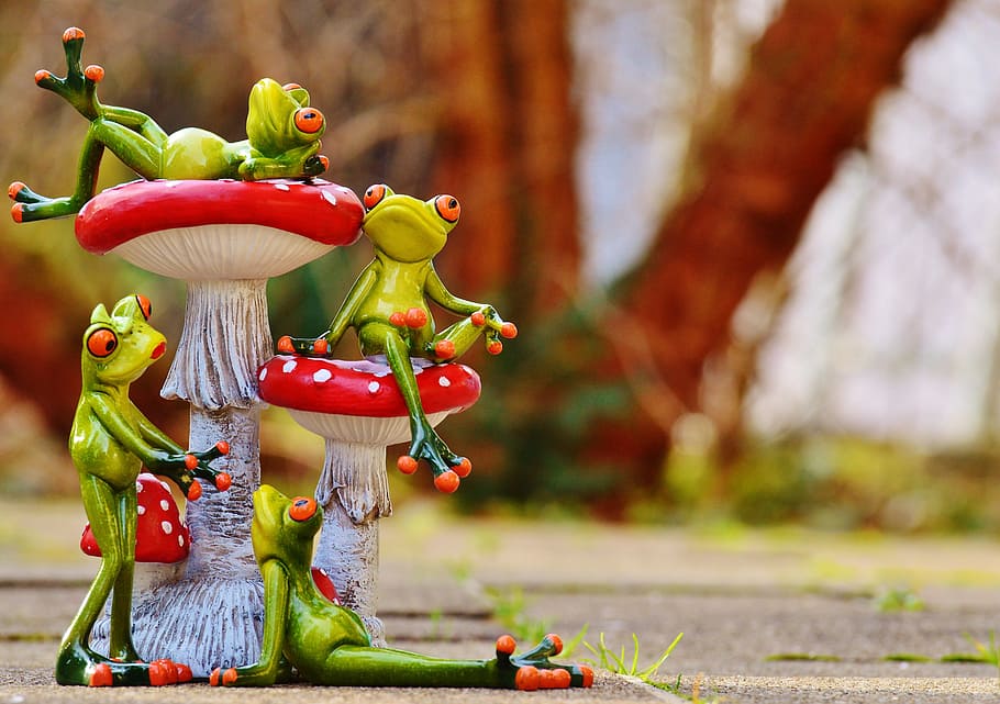 frogs, mushrooms, figures, funny, cute, animals, sweet, fly agaric HD wallpaper