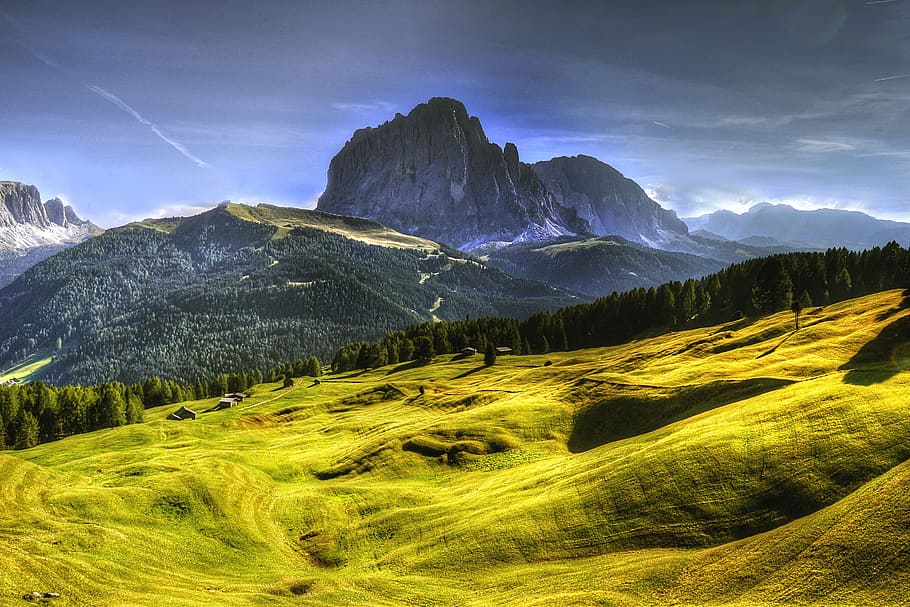 field of trees on green hill, Dolomites, Mountains, Away, Wall