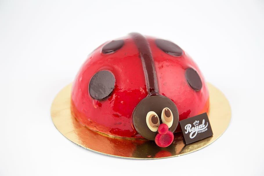 ladybug, ice, raspberry, white background, studio shot, cut out HD wallpaper