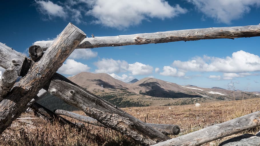 brown tree log during daytime, low angle photography of mountain during daytime HD wallpaper