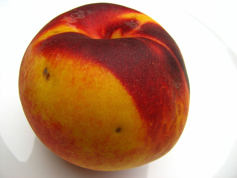 Peach, Fruit, Yellow, Juicy, Ripe, red, delicious, sweet, fruits HD wallpaper
