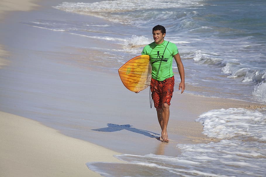 surfer, surfboard, walking, surfing, sea, water, ocean, beach HD wallpaper