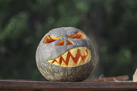 halloween, kampala, uganda, pumpkin, spooky, africa, party HD wallpaper