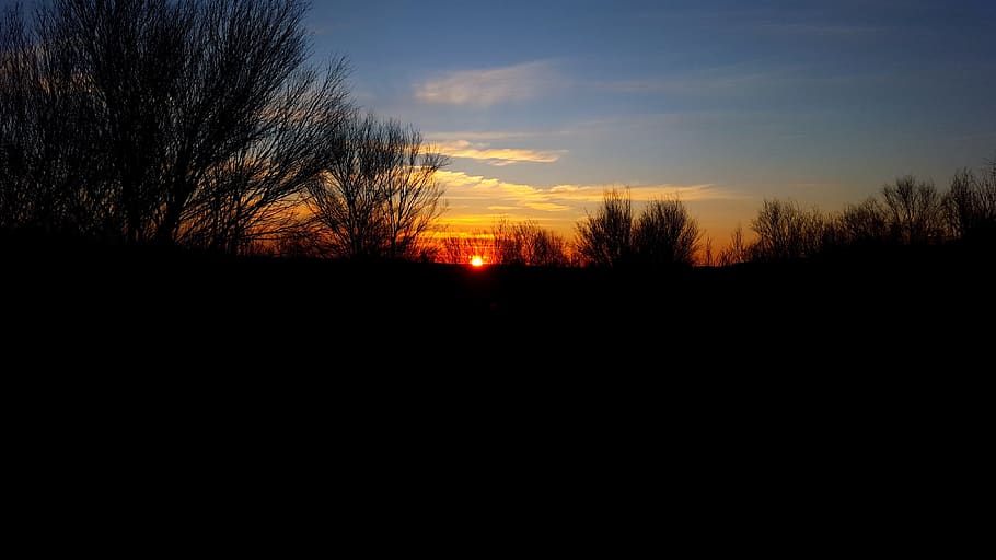 sunset, outback, bush, evening, evening sky, silhouette, tree HD wallpaper