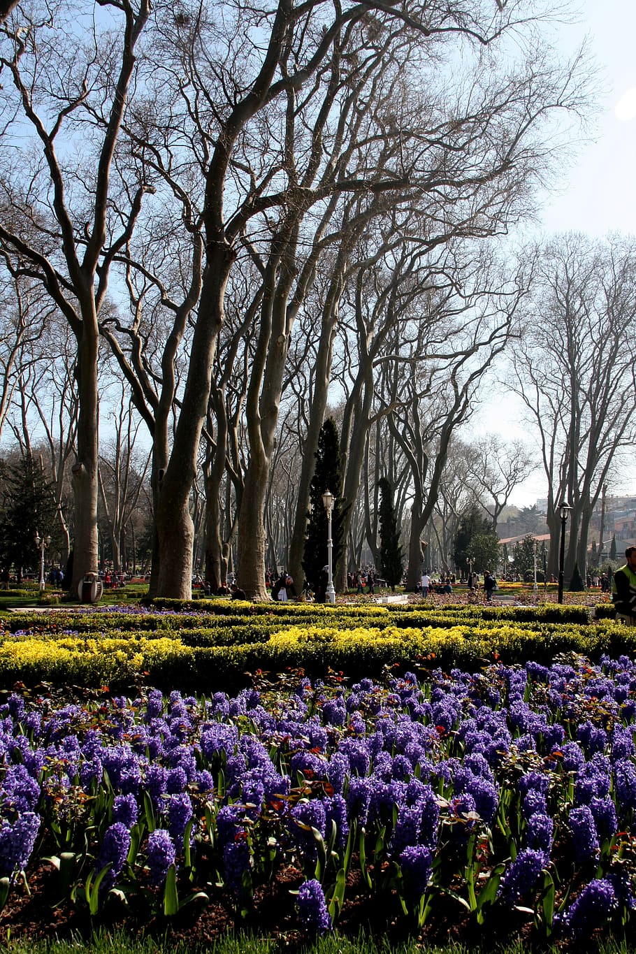 spring, park, nature, peace, beautiful, istanbul, trees, gülhane