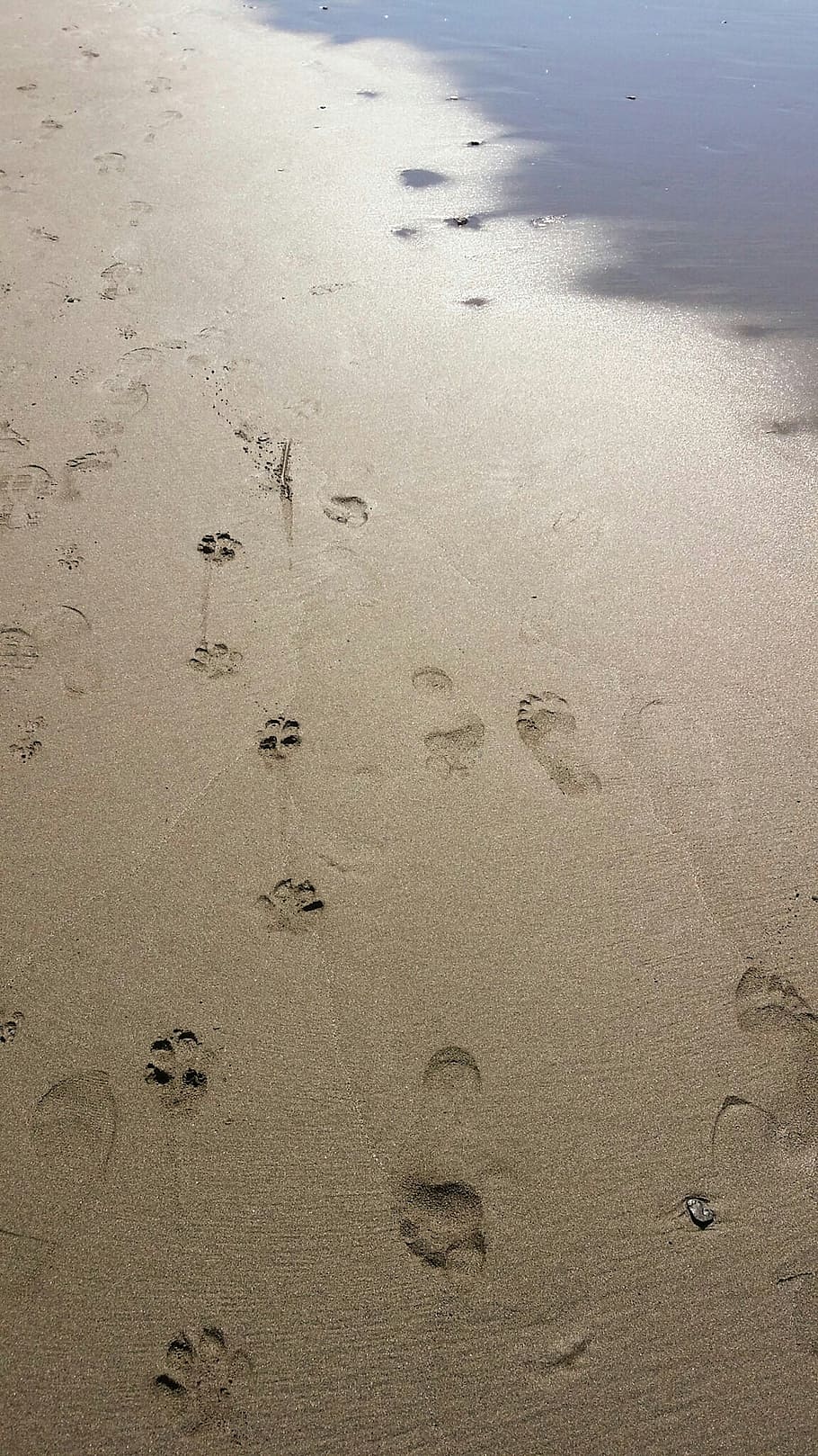 footprints, sand, beach, shore, sea, steps, land, high angle view HD wallpaper