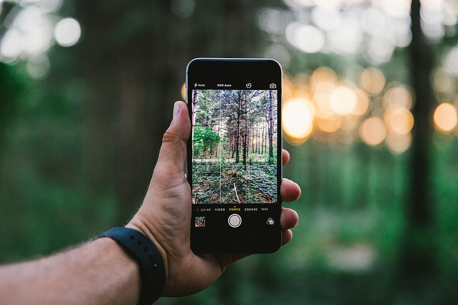 selective focus photo of person taking photo of trees during daytime, person holding opened space gray iPhone 6 taking photo of trees, HD wallpaper
