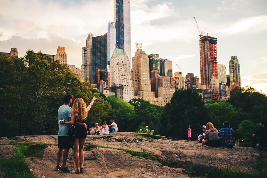 people in park with trees in city, architecture, buildings HD wallpaper