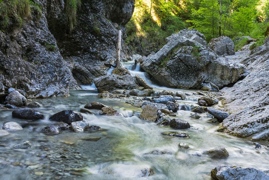 River, Bach, Water, Source, Waters, idyllic, clear, forest HD wallpaper