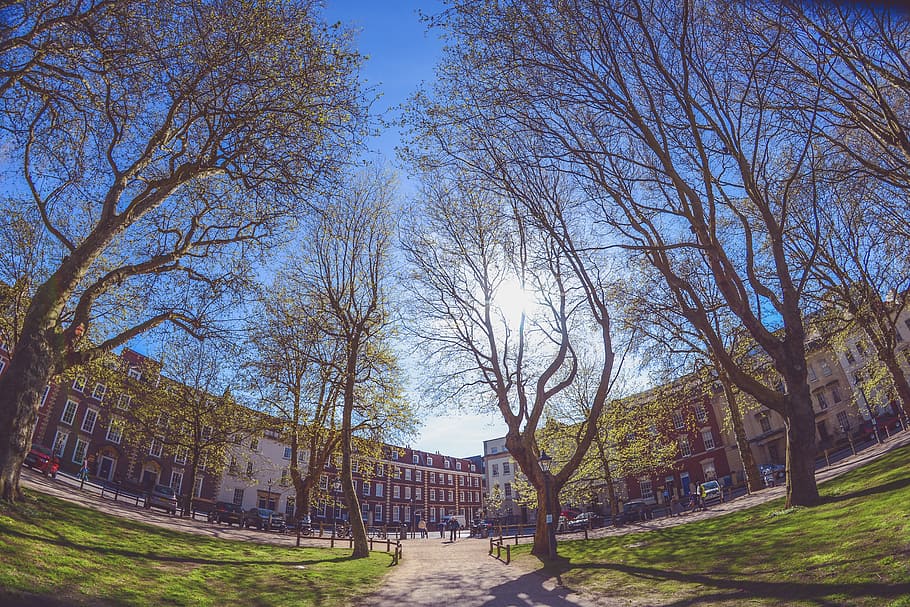 trees, sky, clouds, bench, green, grass, park, school, building HD wallpaper