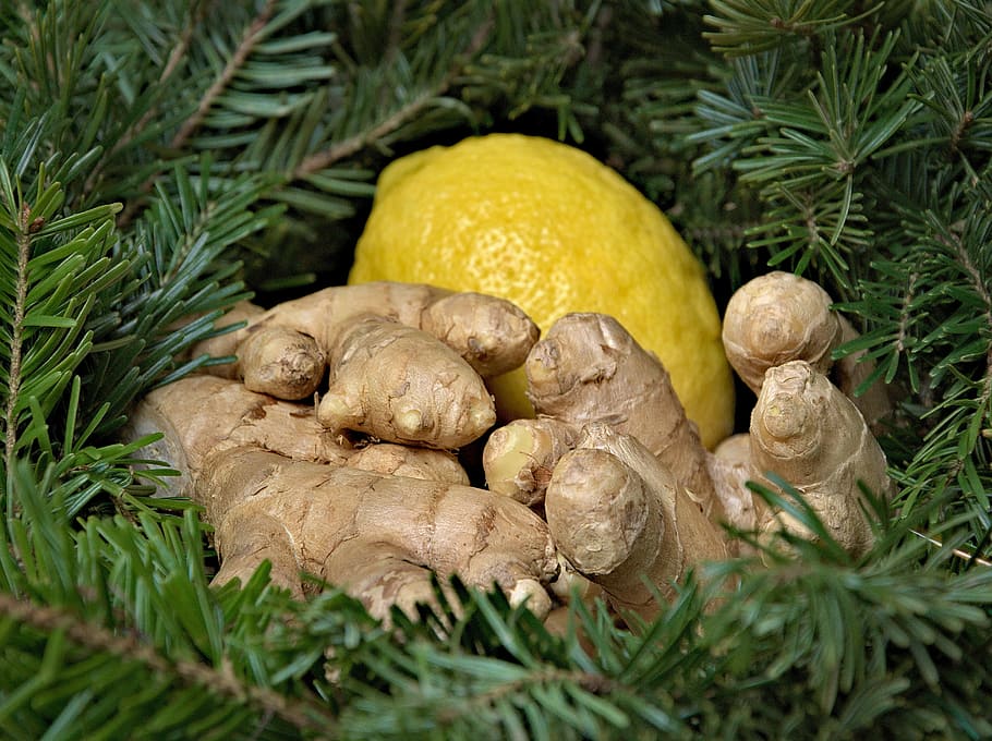 brown ginger and yellow lime, lemon, holidays, christmas, spices HD wallpaper