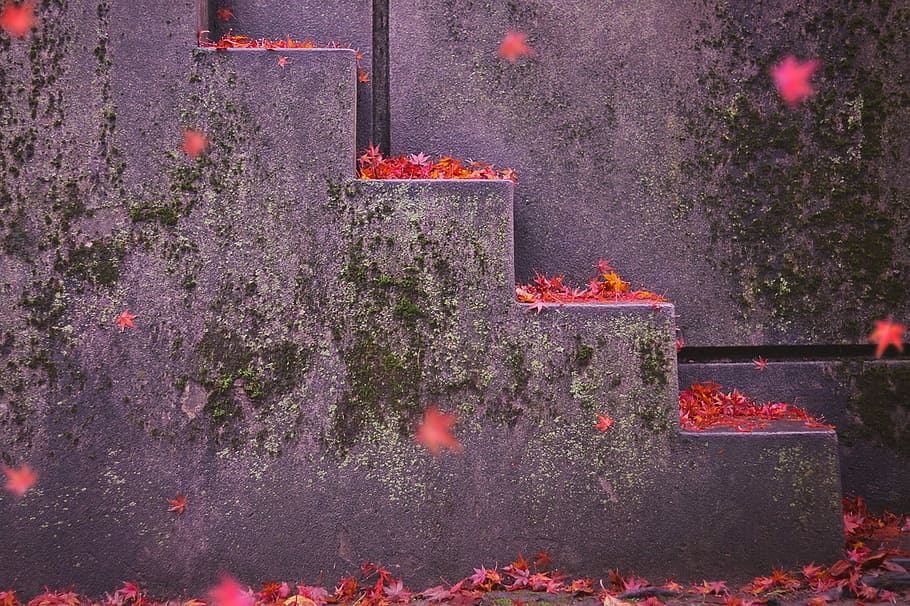 selective photography of a falling leaves near stairs, red, outdoors HD wallpaper
